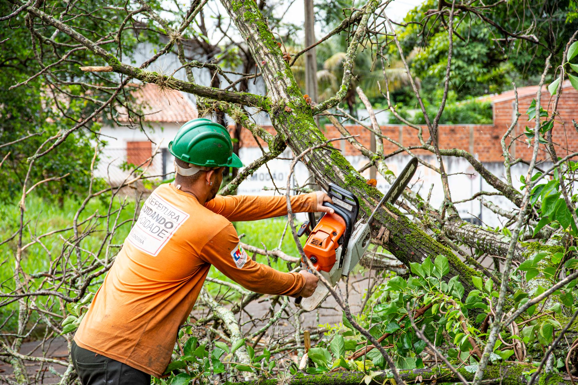 Brush Clearing — San Antonio Tree and Brush Removal